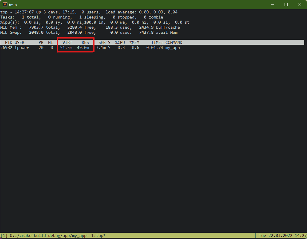 Top displaying different memory format