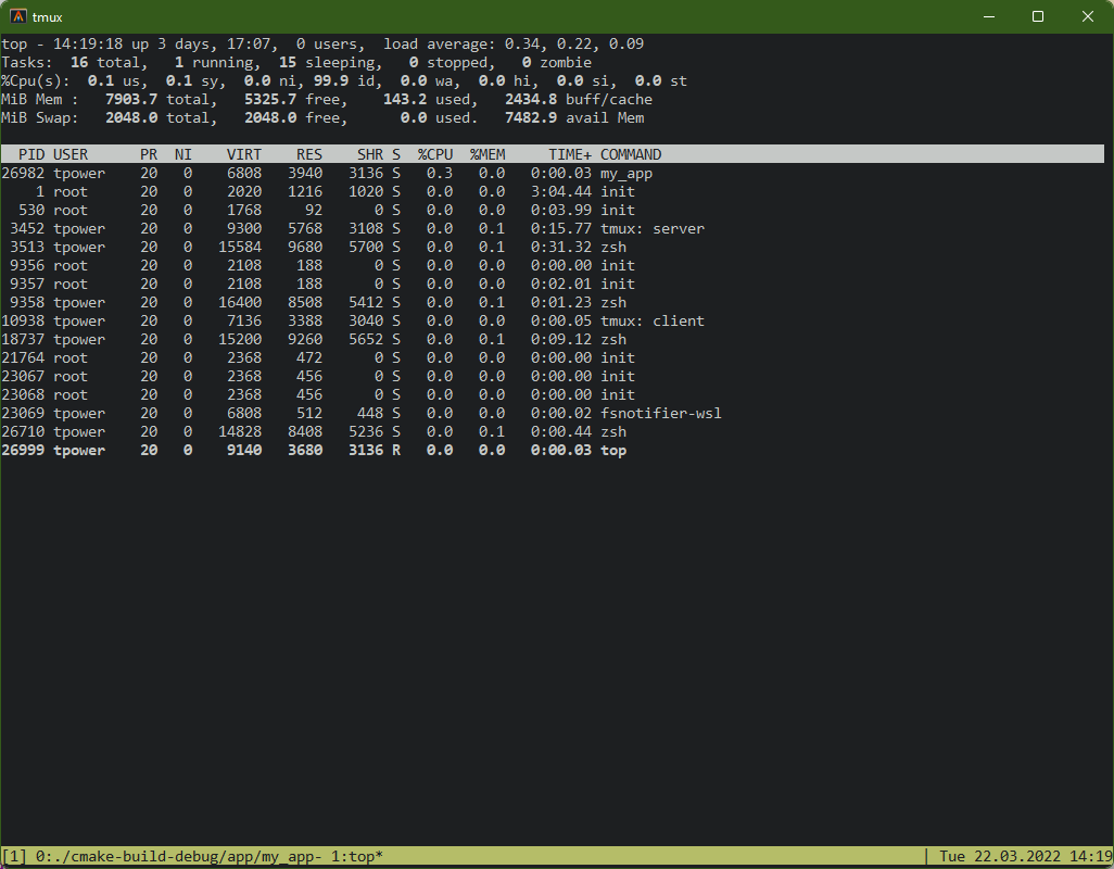 Top displaying Linux Processes